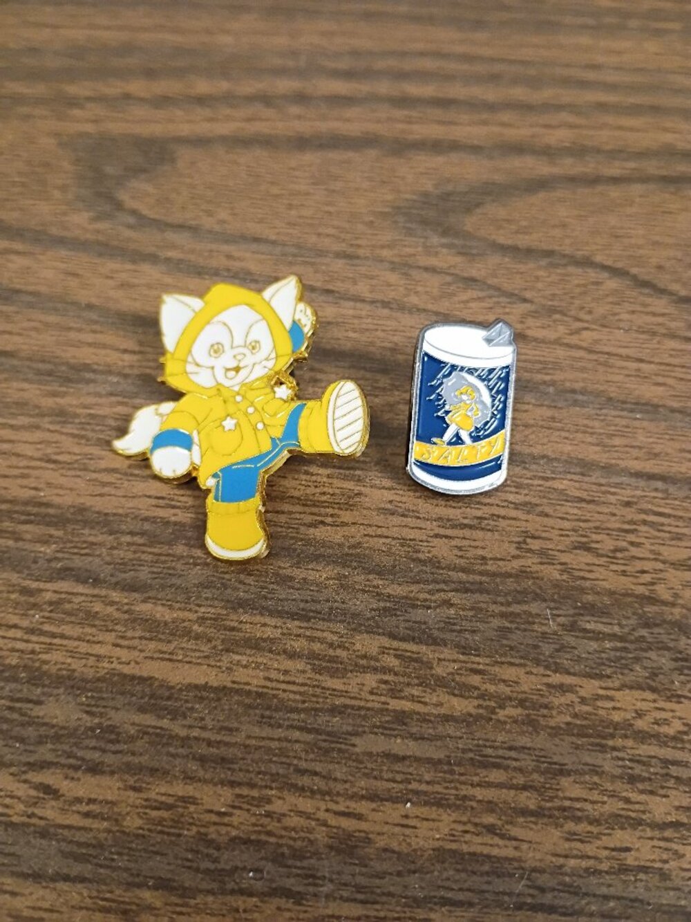 Cat in Raincoat and Salt container Pin Set